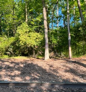 Dog Park at Newburg Park